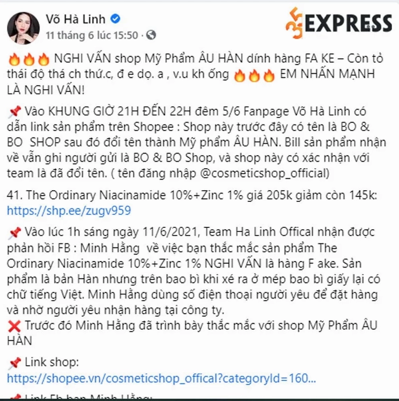 Võ Hà Linh đang tư vấn cho khách hàng