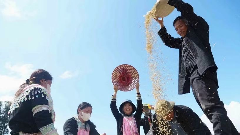 Độc đáo Ngày hội