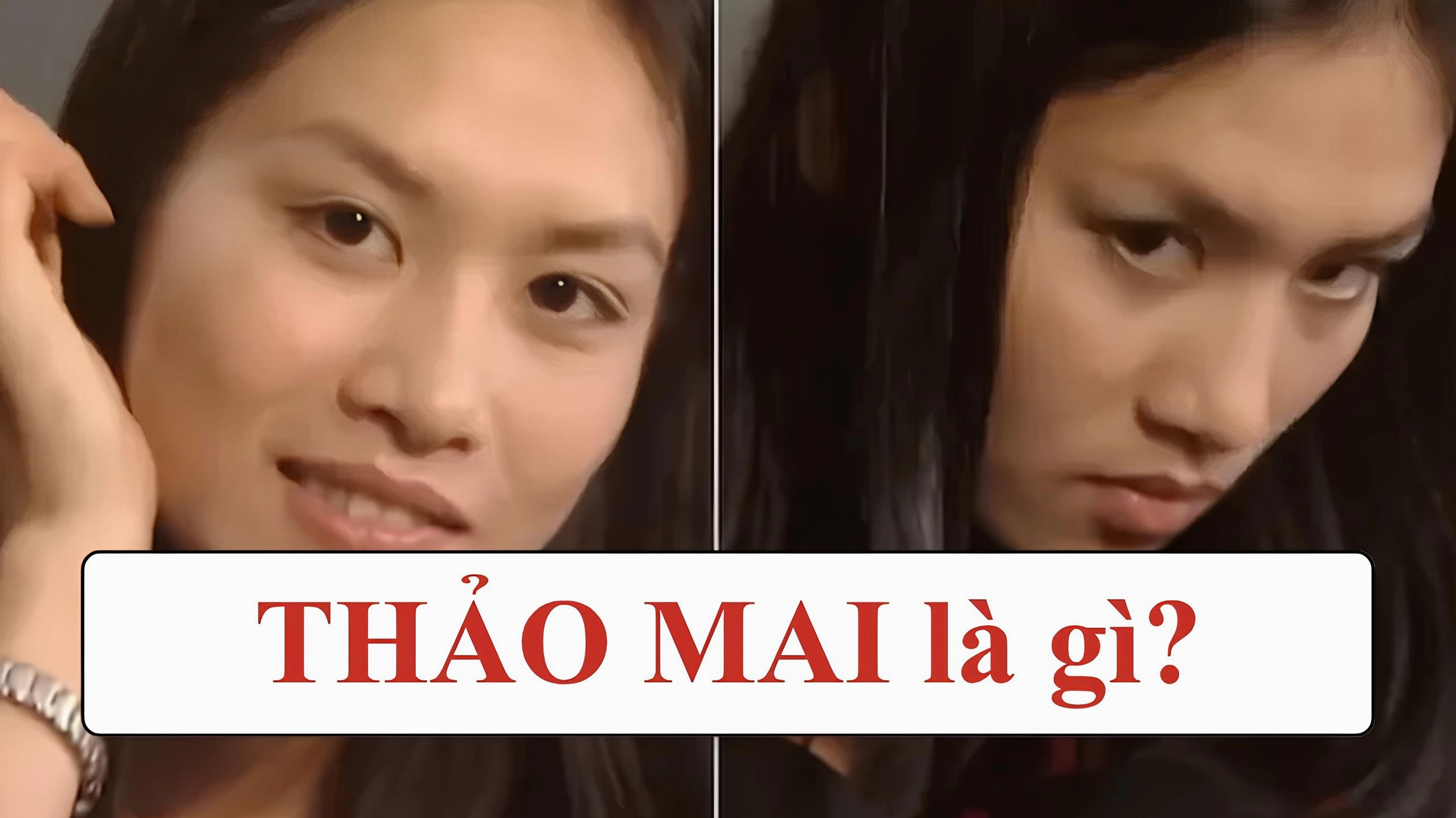 Hình ảnh minh họa cho khái niệm 'thảo mai' và cách nhận diện.