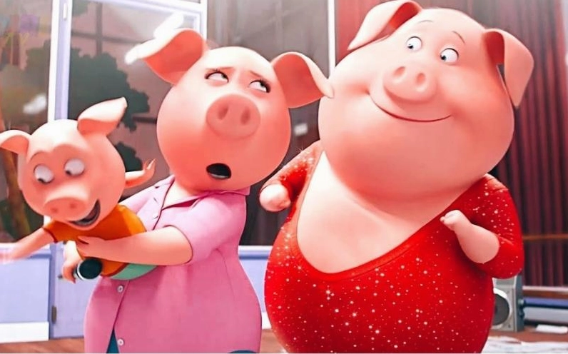 Tuổi Hợi sinh năm bao nhiêu, hợp với tuổi nào?