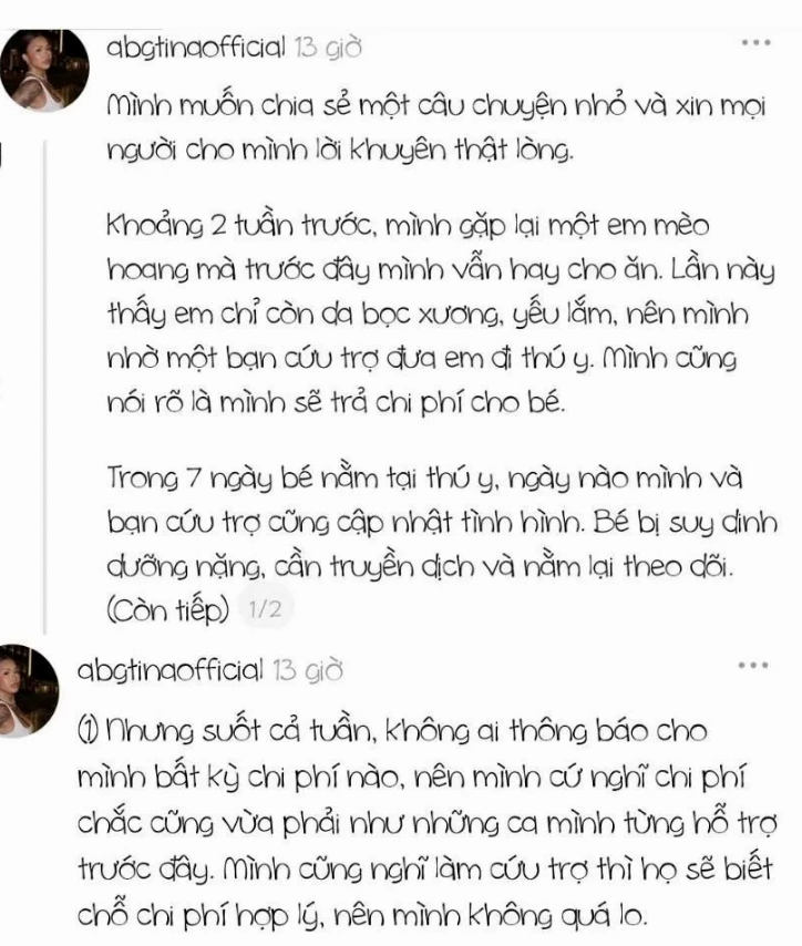 Abg Tina trong một hoạt động cộng đồng